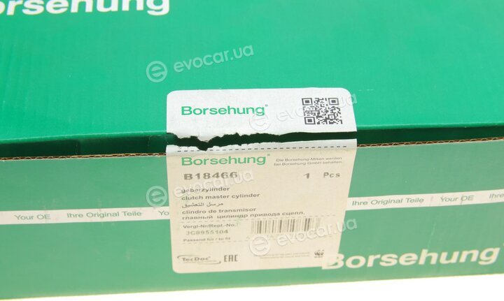 Borsehung B18466