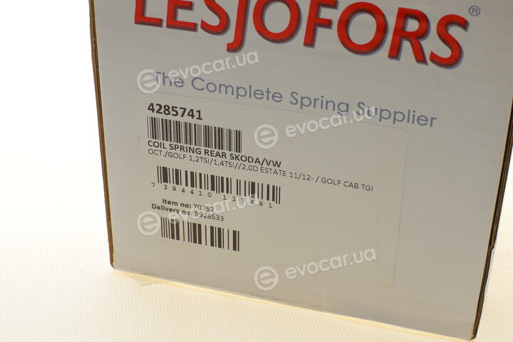 Lesjofors 4285741