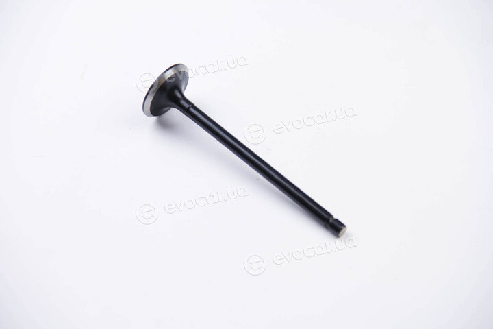 BGA V165941