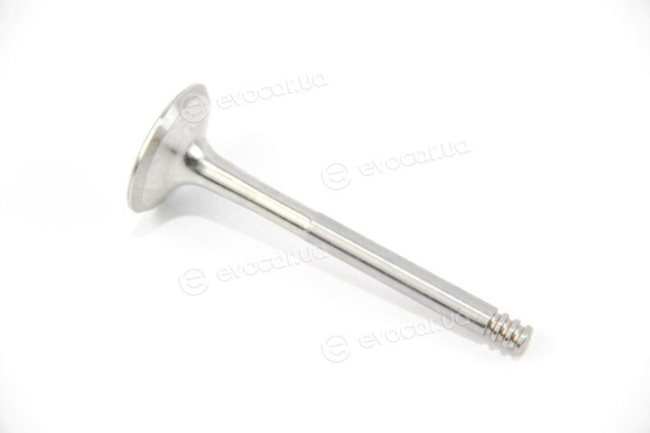 Mahle 029 VA 31103 100