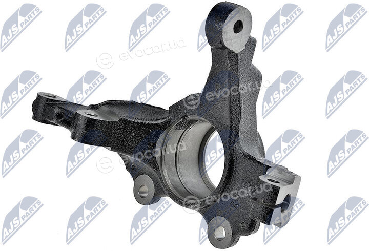 NTY ZZP-PL-009