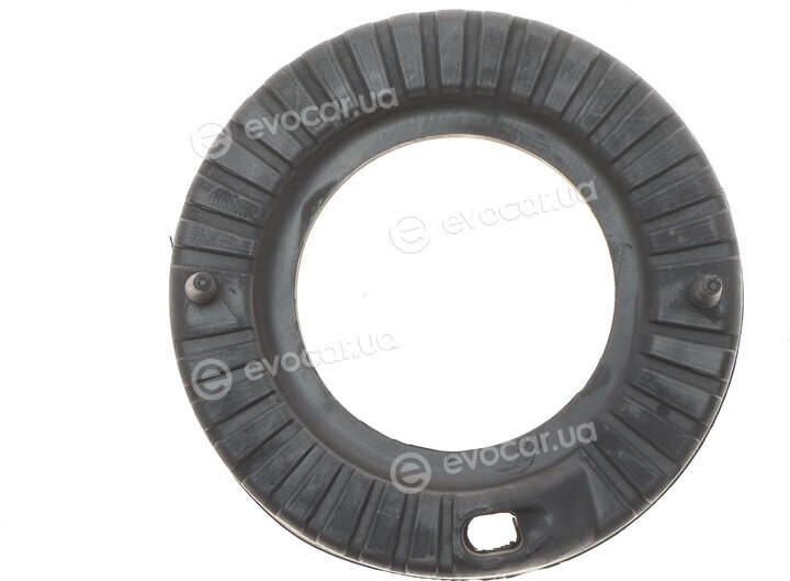 GSP 538956