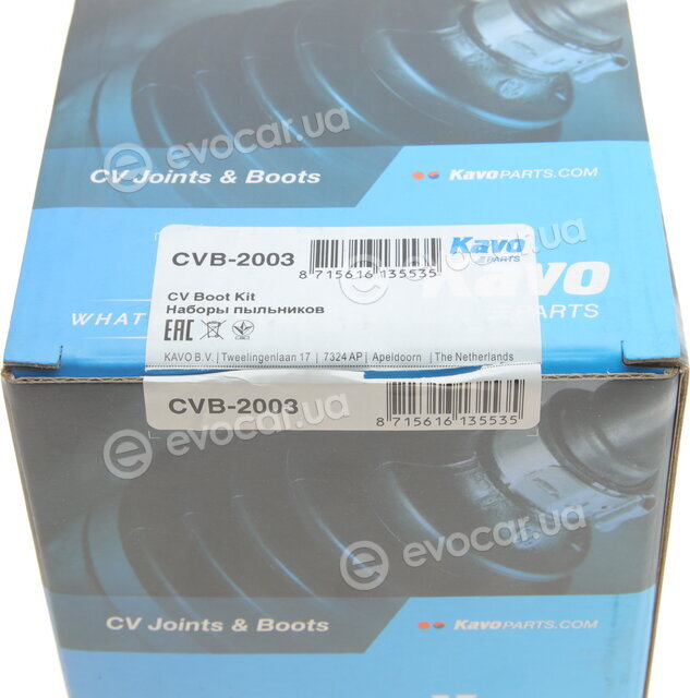 Kavo CVB-2003