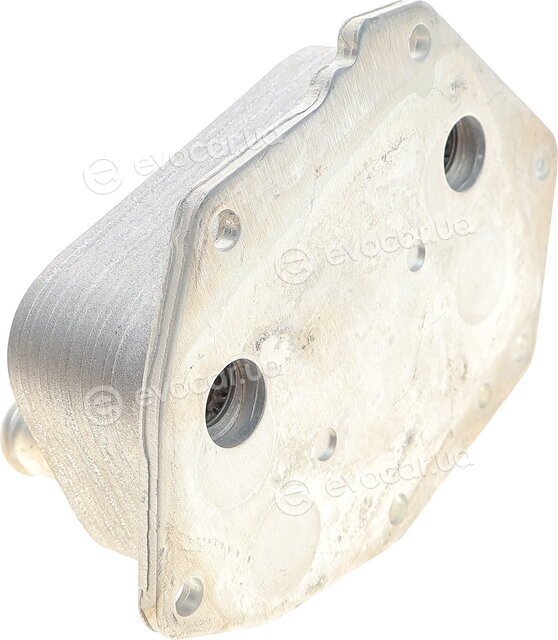 Van Wezel 09013704