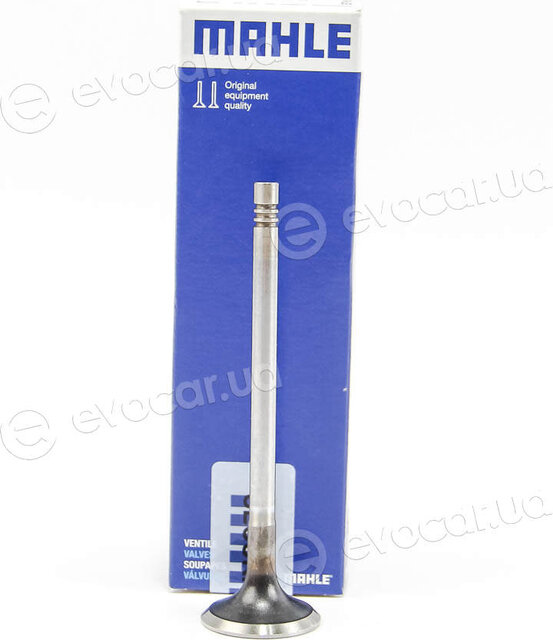Mahle 029 VA 31101 100