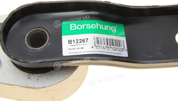 Borsehung B12267