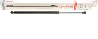 Lesjofors 8155464