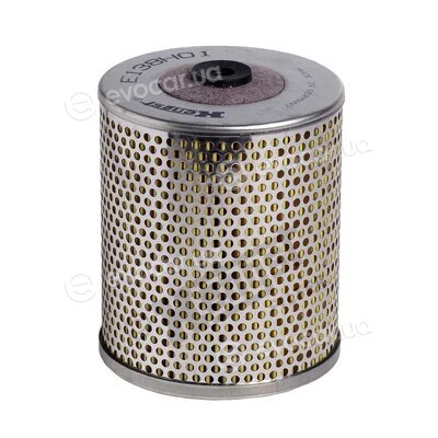 Hengst E138H01