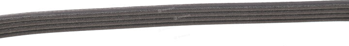 Dayco 4PK798EE