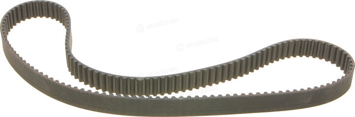 Borsehung B10219