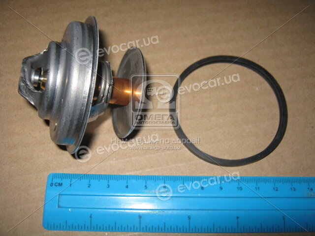 Mahle TX 62 89