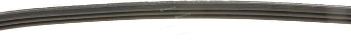 Dayco 3PK800