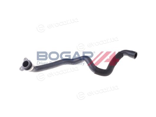 Bogap B4228221