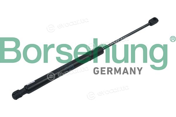 Borsehung B14192