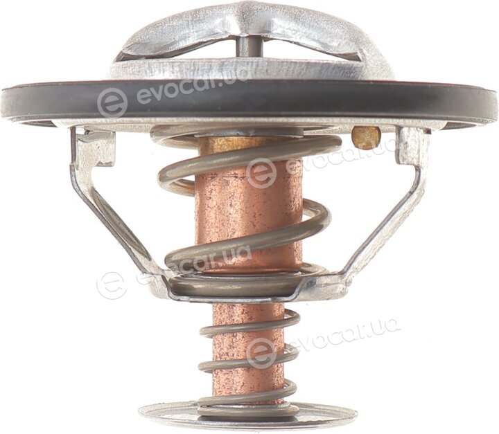 Motorad 302-88K