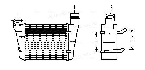 Starline A AIA 4221