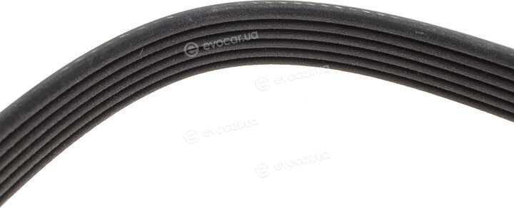 Dayco 6PK2325