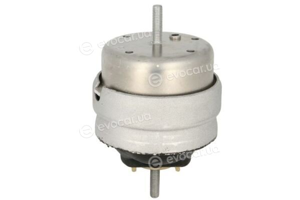 Reinhoch RH11-0162