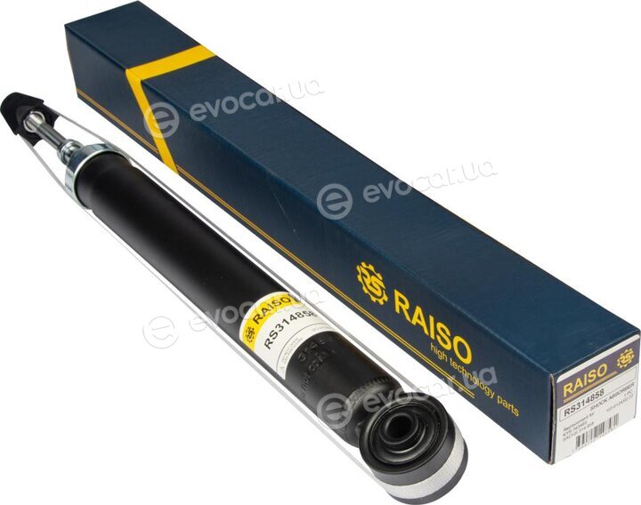 Raiso RS314858