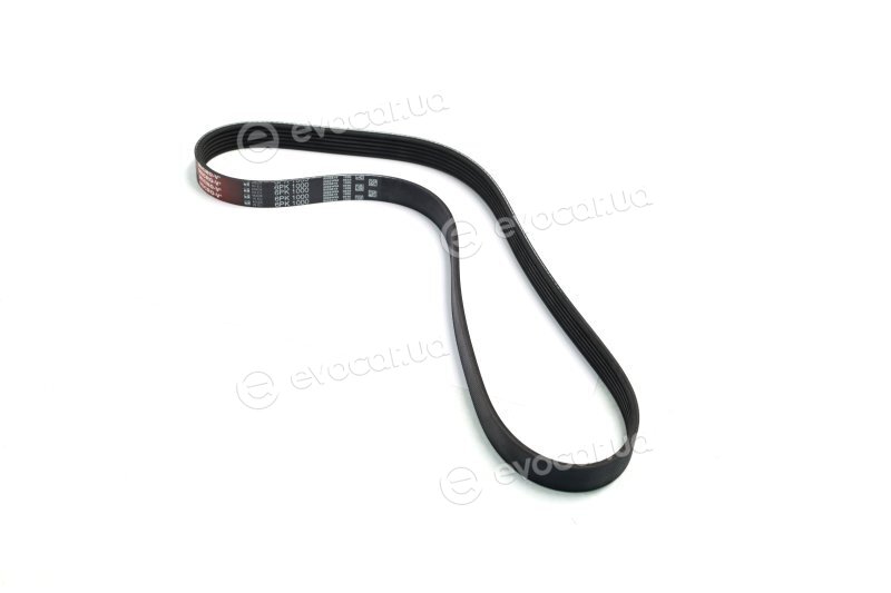 Gates 6PK1000