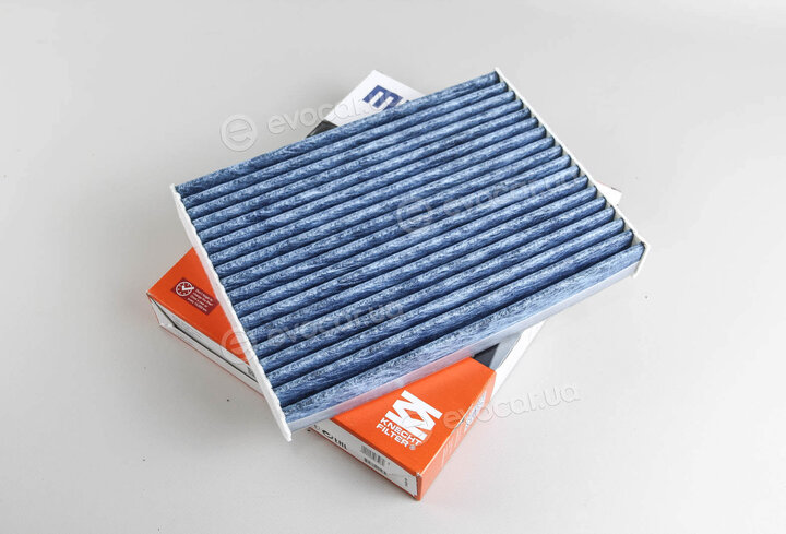 Mahle LAO 891
