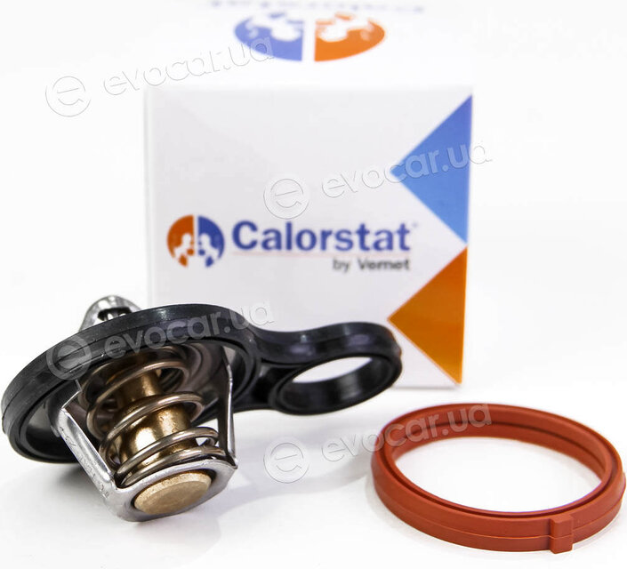 Vernet / Calorstat TH6843.91J