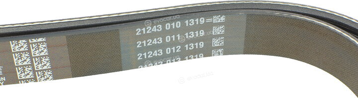 Dayco 6PK1710