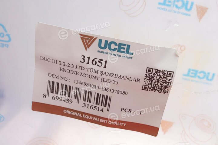 Ucel 31651