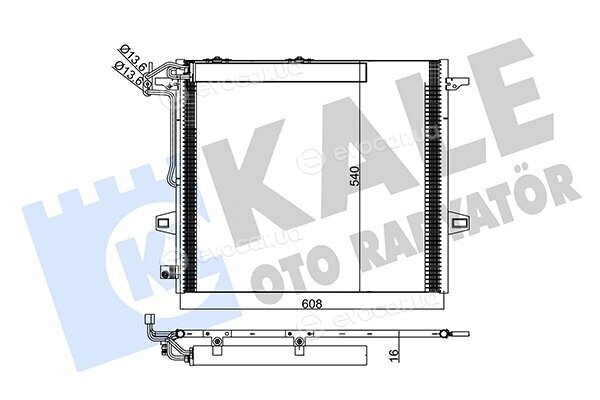 Kale 342630