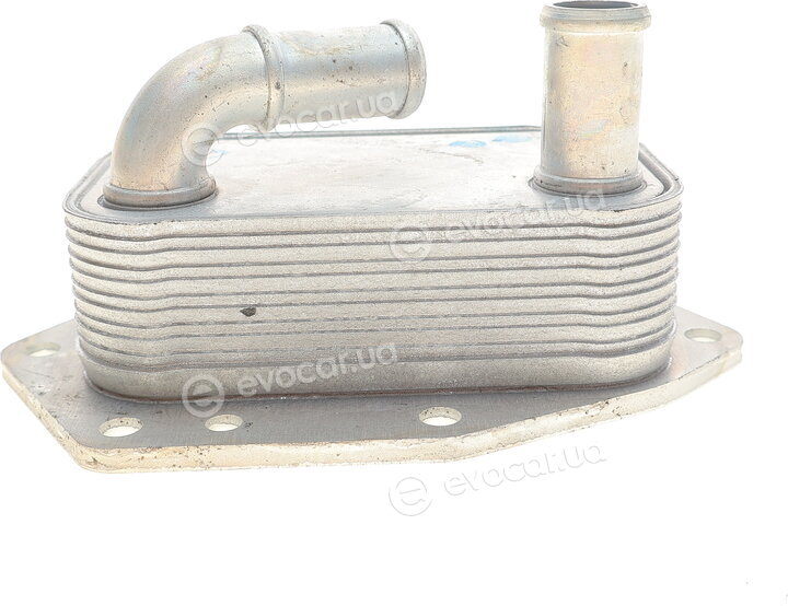Van Wezel 09013704