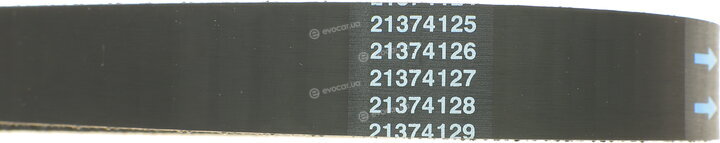 Dayco 94658