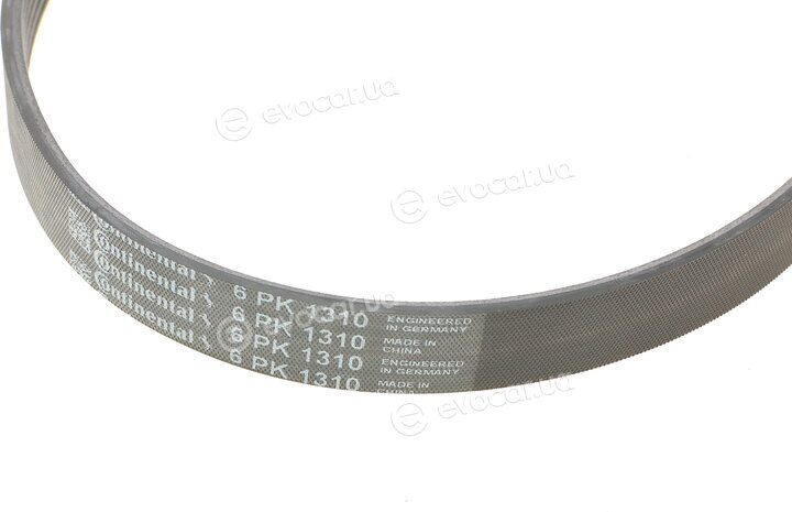 Continental 6PK1310