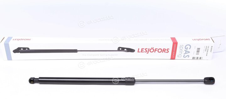 Lesjofors 8137217