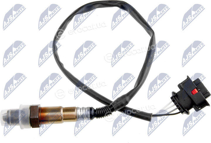 NTY ESL-PL-013