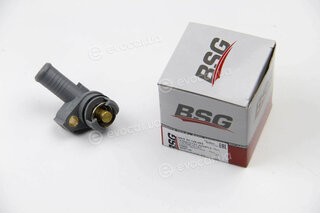 BSG BSG 30-126-002