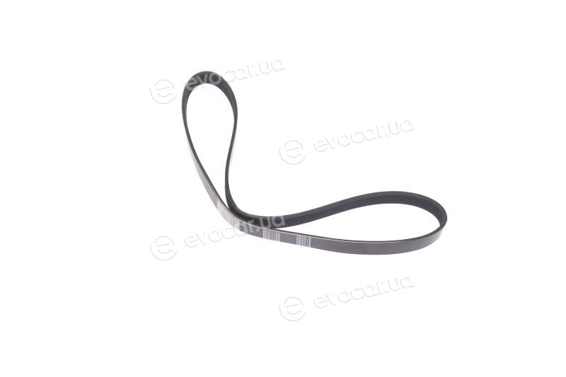 Denckermann 6PK1100