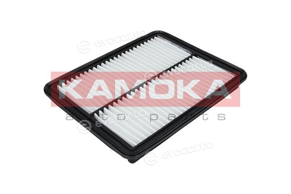 Kamoka F233101
