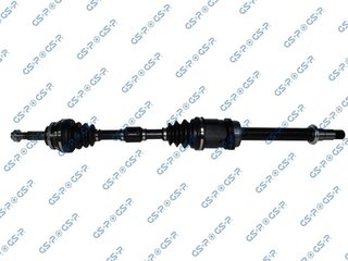 GSP 259519