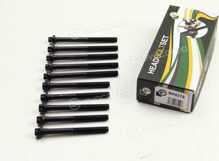 BGA BK6318
