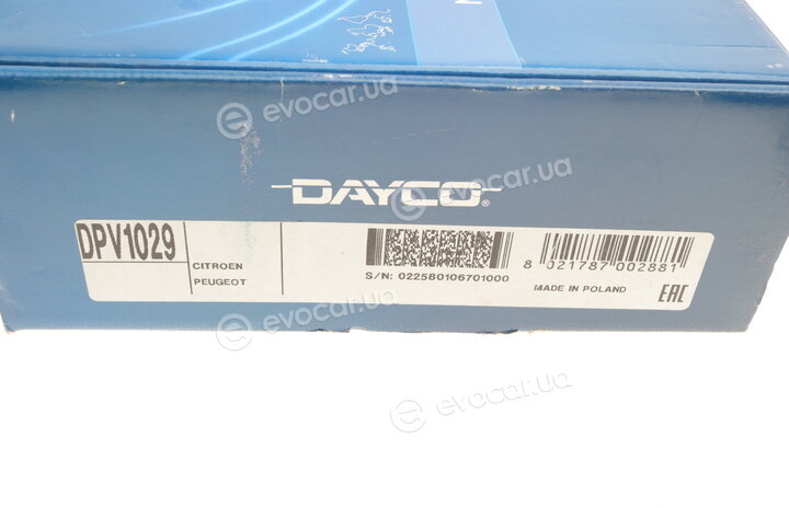 Dayco DPV1029