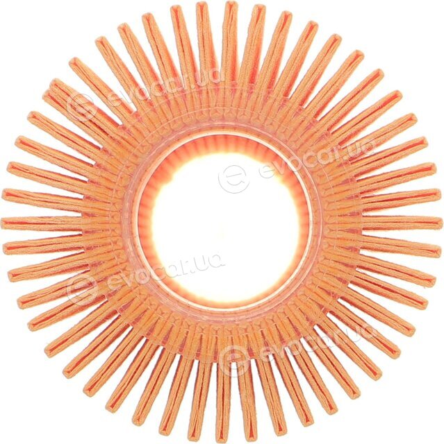 Solgy 101101