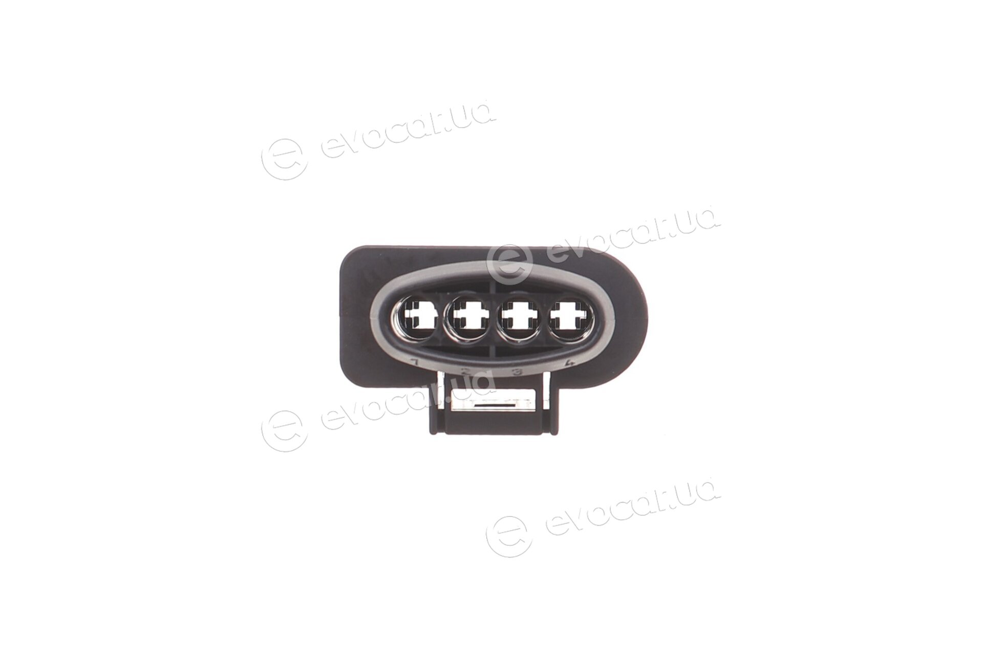 Solgy 412039