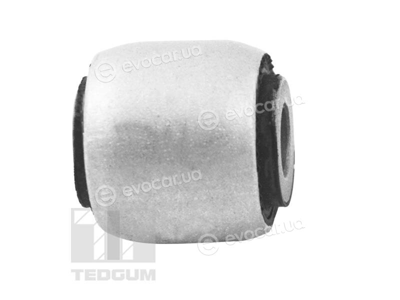 Tedgum TED10831