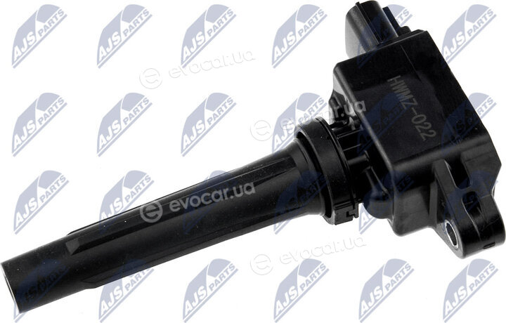 NTY ECZ-MZ-022
