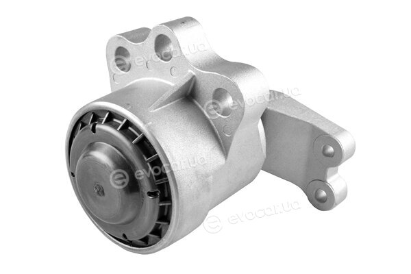 Tedgum TED99323
