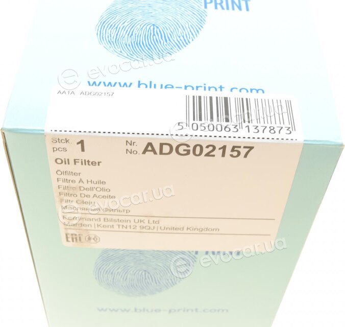 Blue Print ADG02157