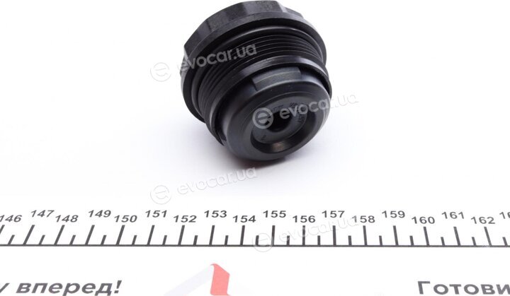 BorgWarner DS120359