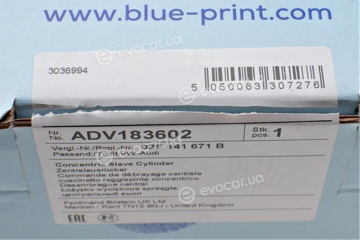 Blue Print ADV183602