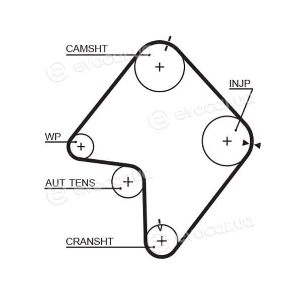 Gates K035355XS