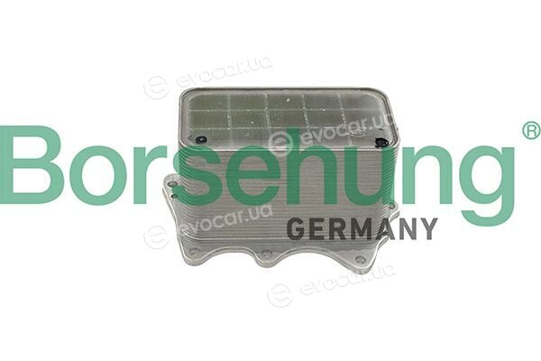 Borsehung B10884